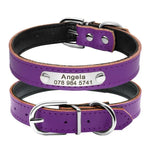 Premium PU Leather Personalised Dog/Cat Collar Yesy All Goods