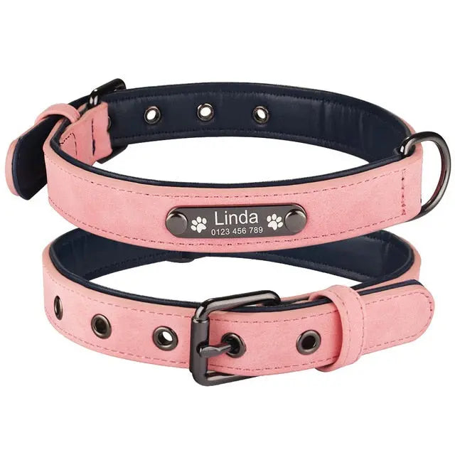 Leather Comfort Personalised Dog/Cat Collar Yesy All Goods