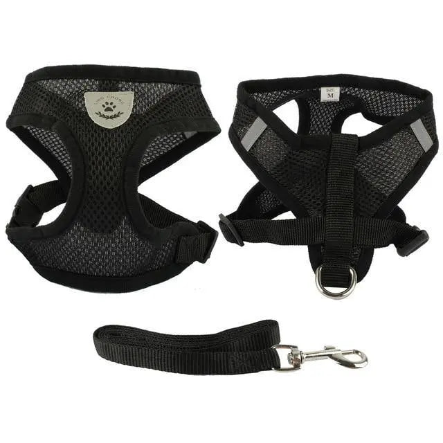 Fashion Dog Harness and Lead Combo Set Yesy All Goods