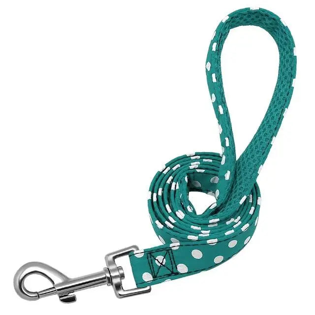 Fashion and Colorful Strong Dog Leads Yesy All Goods