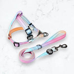 Gradient Coloured with Reflective Line Harness and Leash Set YAG Boutique