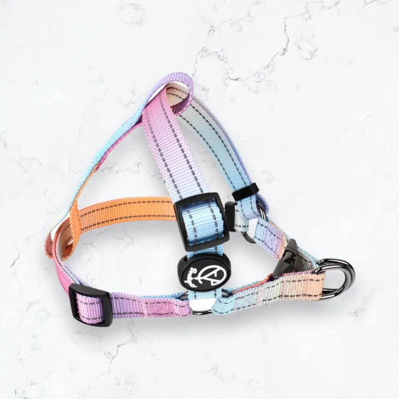 Gradient Coloured with Reflective Line Harness and Leash Set YAG Boutique